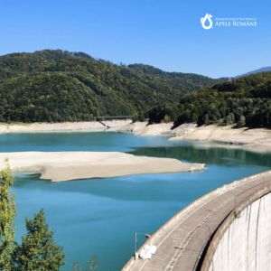 Apele Române aplică măsuri speciale la acumularea Paltinu pentru a asigura alimentarea cu apă